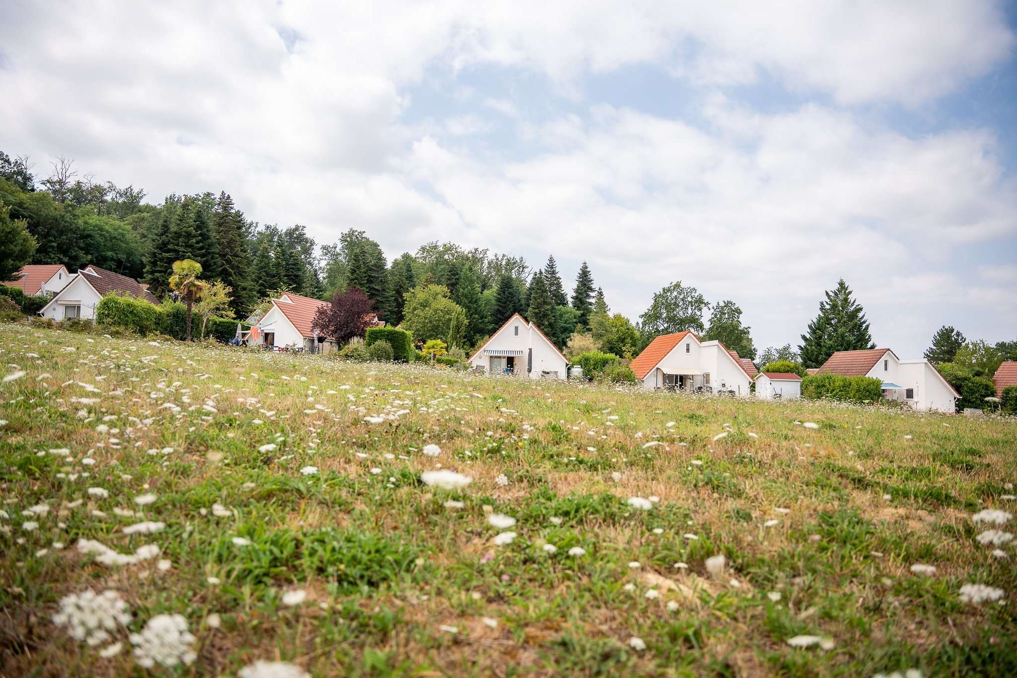 Cazaleres prosuco lr 225