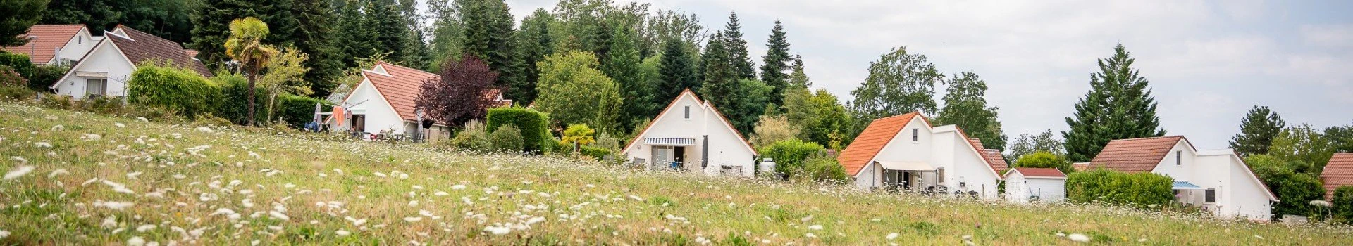 Cazaleres prosuco lr 225