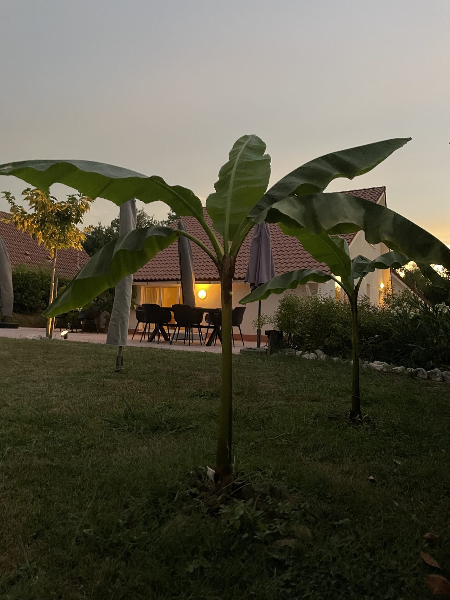 Villa 1 sfeer avond