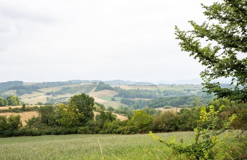 Top 5 gezinsvriendelijke wandelroutes in Zuid-Frankrijk